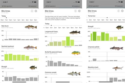 Fishing Report .